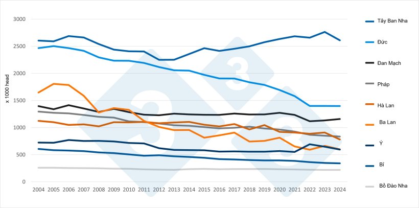 Sự thay đổi số lượng n&aacute;i ở c&aacute;c quốc gia sản xuất ch&iacute;nh trong ch&acirc;u &Acirc;u&nbsp;(2004-2024). Nguồn: 333 dựa tr&ecirc;n dữ liệu của Eurostat.

